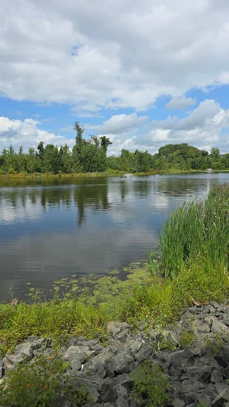 Still Brook Park - Image 1
