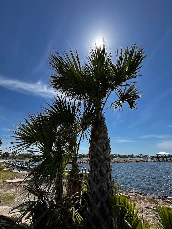 Downtown Port St Joe Park / Gazebo - Image 2