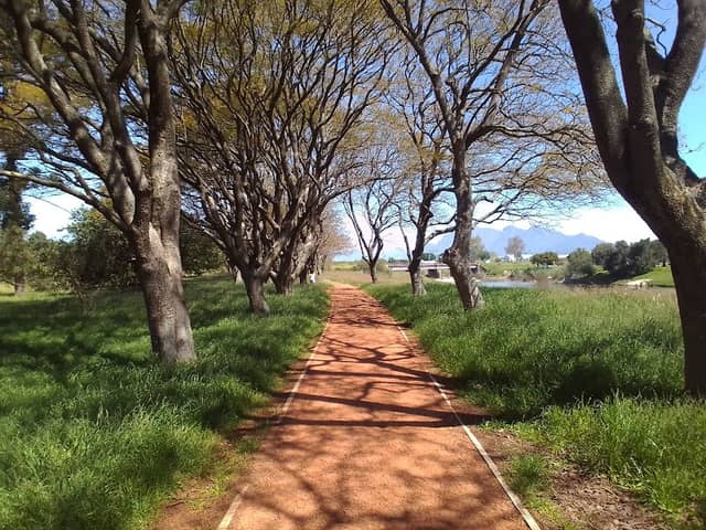 Paarl Arboretum - Image 1