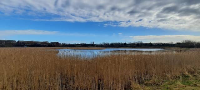 Coatham Marsh - Image 1