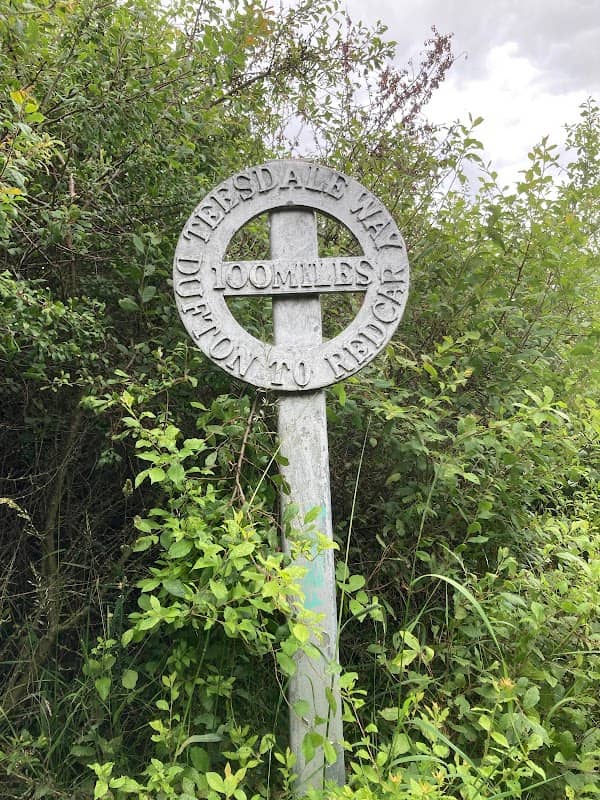 Coatham Marsh - Image 2