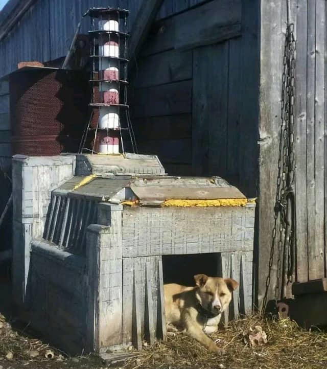 Barka - Image 1