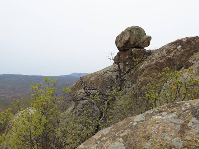 Кучешката глава / село Златосел - Image 1