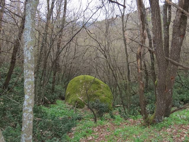 Кучешката глава / село Златосел - Image 2