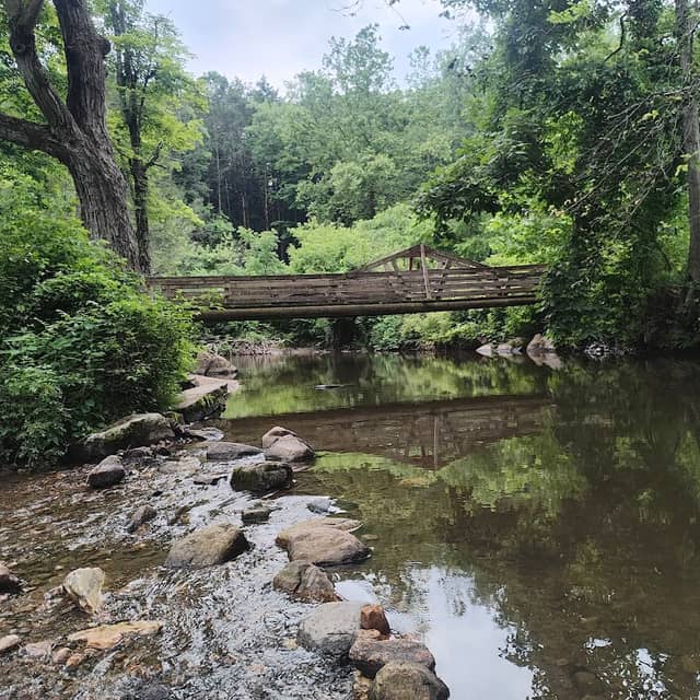 Carlson's Grove Park - Image 1