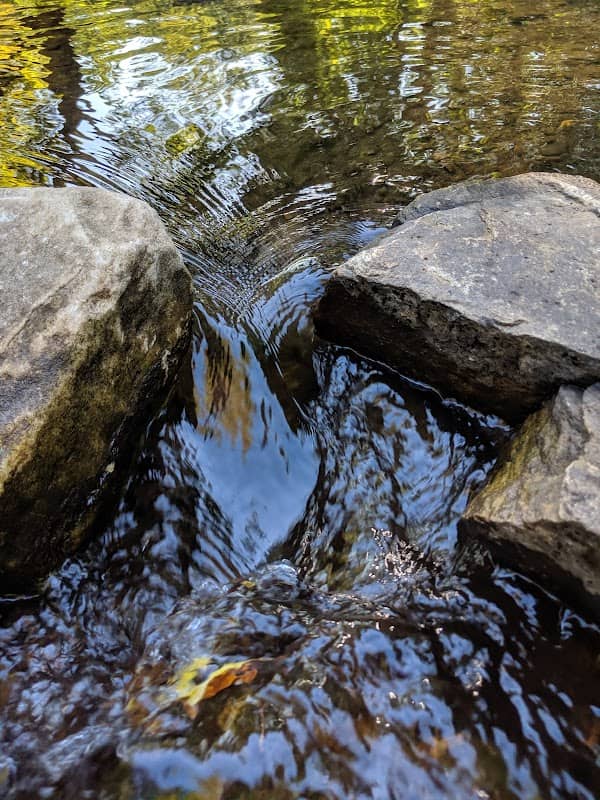 Carlson's Grove Park - Image 2