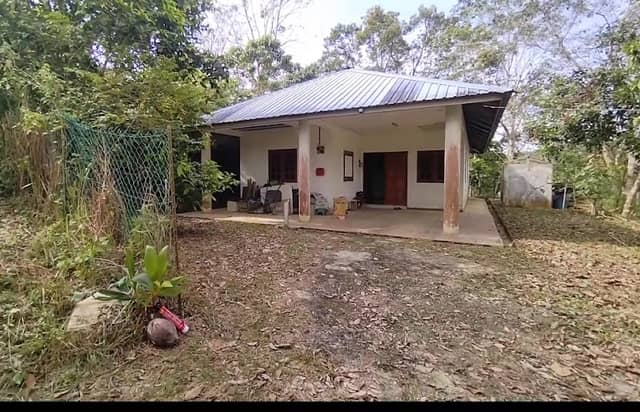 KEBUN AHMAD - Image 1