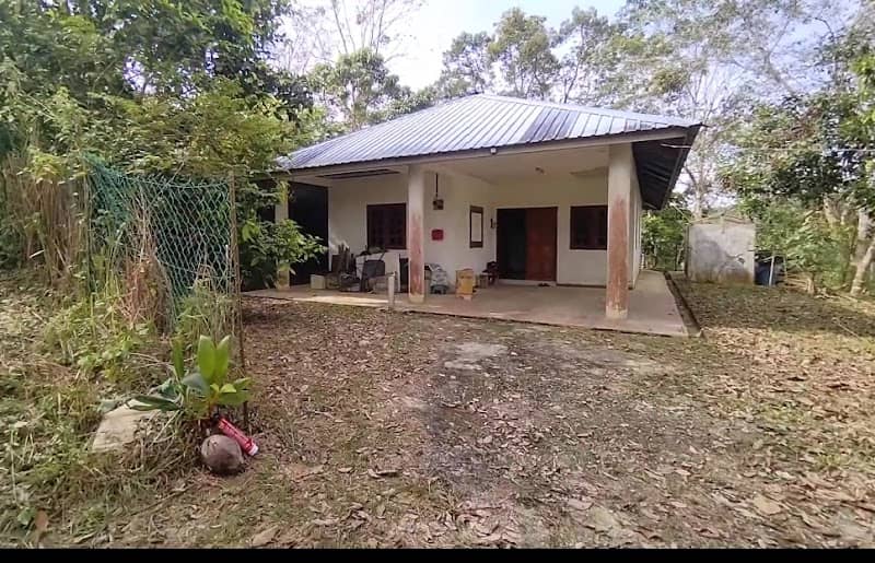KEBUN AHMAD - Image 1