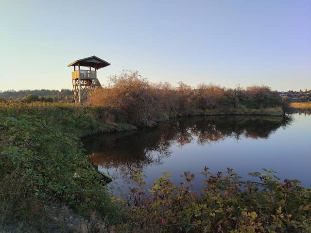 Serpentine Wildlife Management Area - Image 1