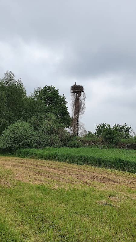 Storchennest 4 Stöckte - Image 1