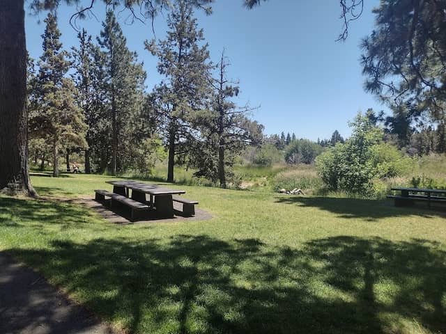 Sawyer Park - Image 2