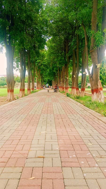Love Road (Izhar Alley) - Image 1