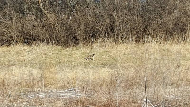 New Haven Park - Image 1