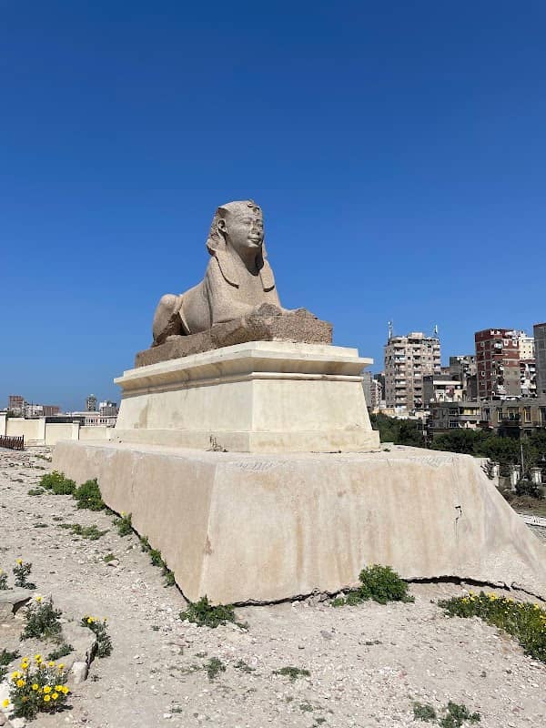 Serapeum of Alexandria - Image 2