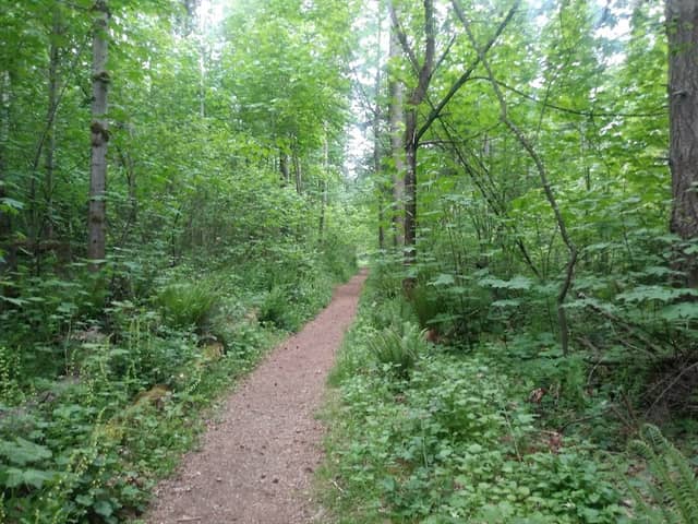 Jenkins Creek Park - Image 2