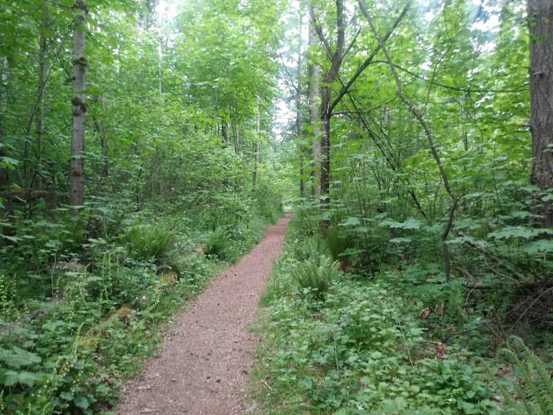 Jenkins Creek Park - Image 2
