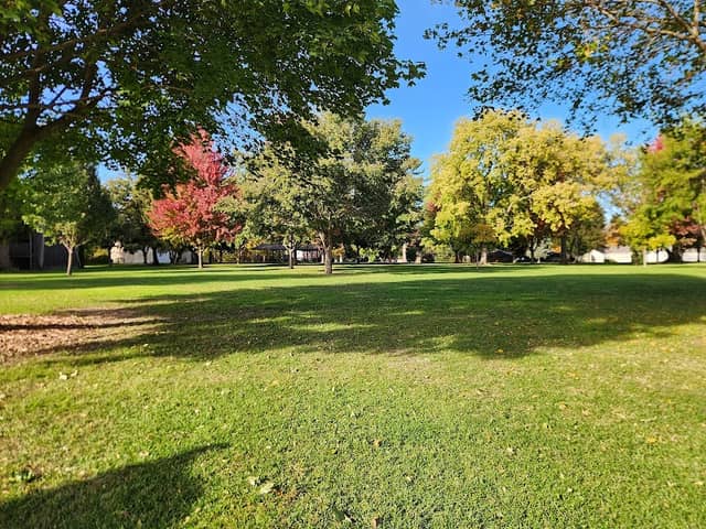 Sweet Park - Image 2