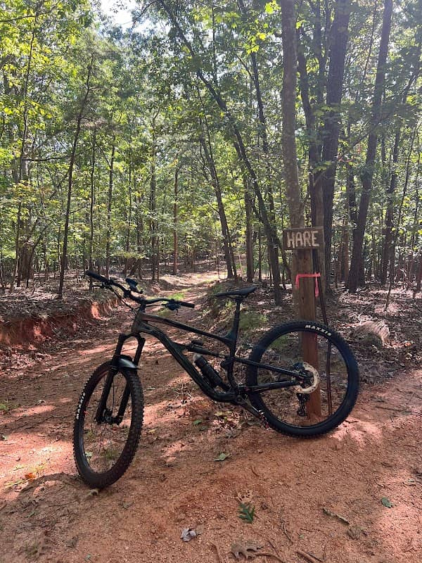 Chicopee Woods Mountain Bike Trails - Image 2