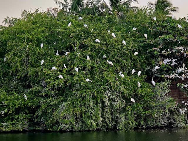 Lagoa do Soldado - Image 1