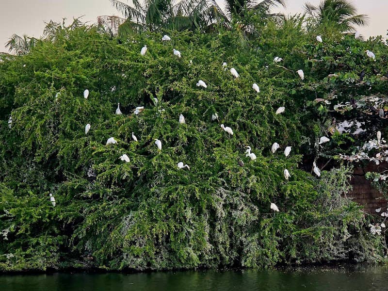 Lagoa do Soldado - Image 1