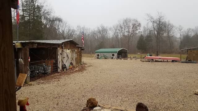 Dakel Hog Hunts - Image 1