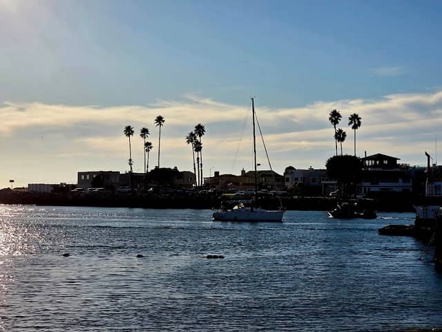 Kiddie Beach Park - Image 2