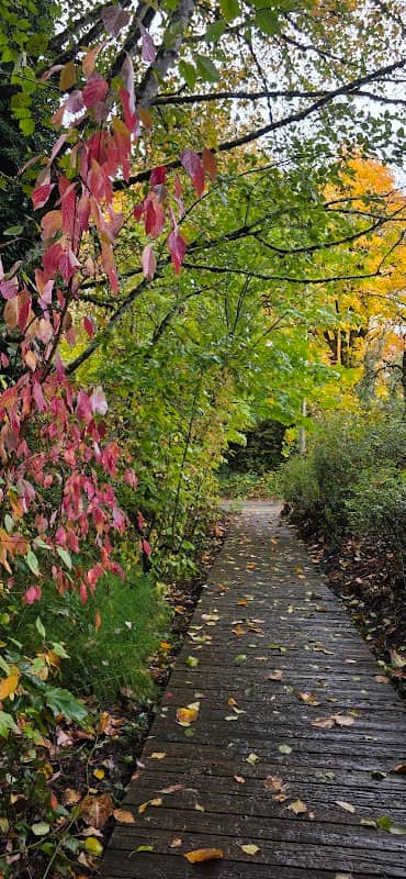 Gaines Park - Image 2