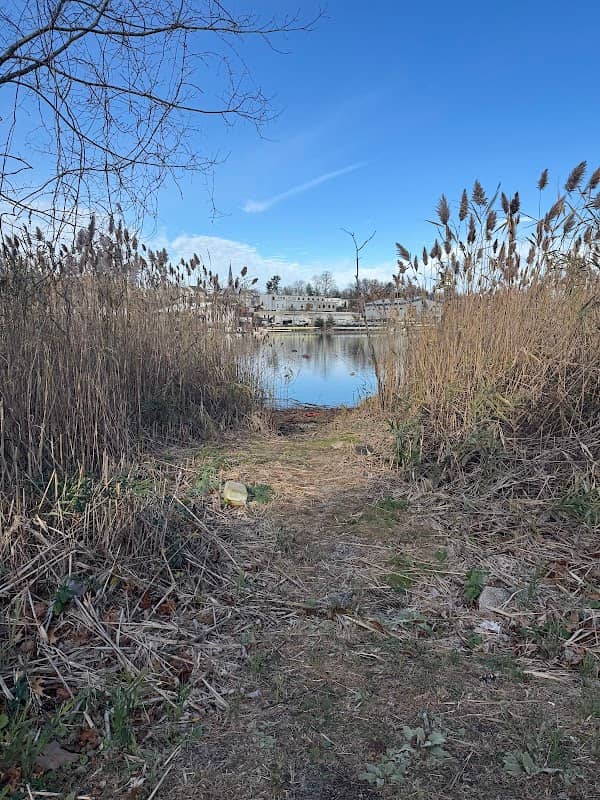 Norwalk Harbor Walk - Image 1
