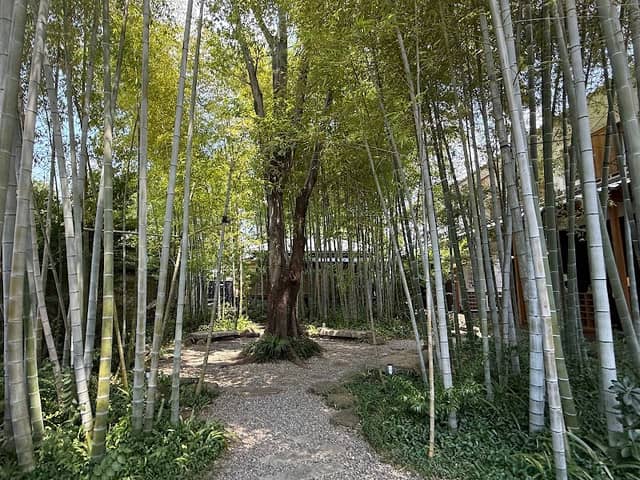 Kurashiki Yoimachi Garden - Image 1