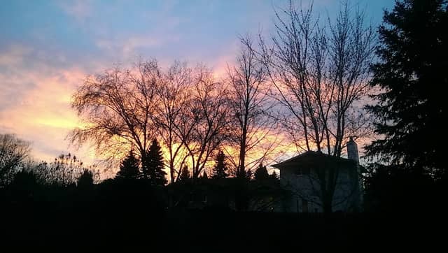 Saskatoon Nature Society - Image 2