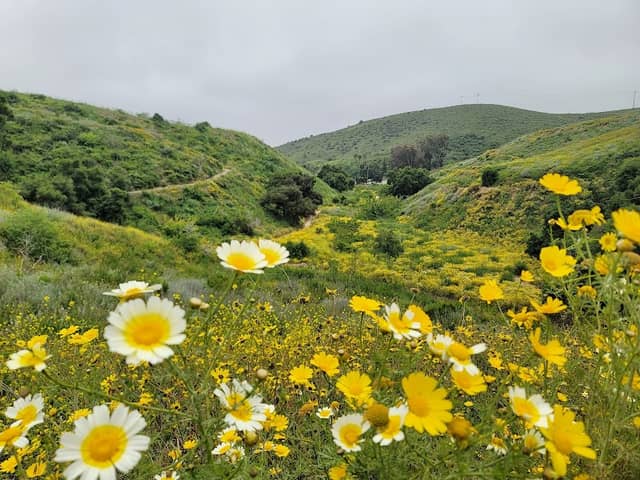 Arroyo Verde Hiking Trails - Image 3