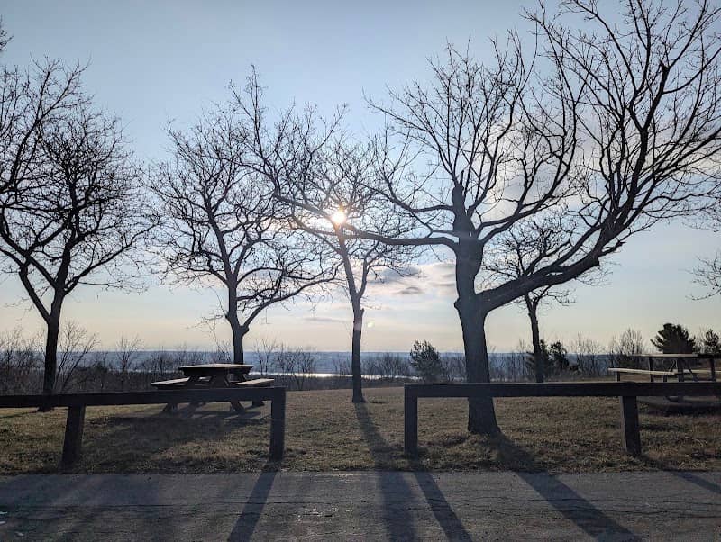McJannett Park - Image 1