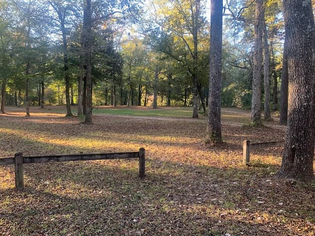 Cypress Creek Landing Recreation Site - Image 1
