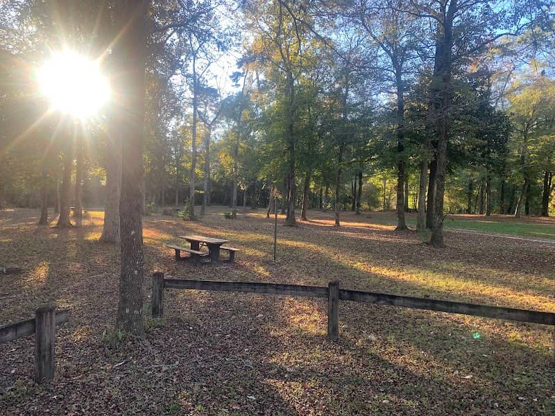 Cypress Creek Landing Recreation Site - Image 2