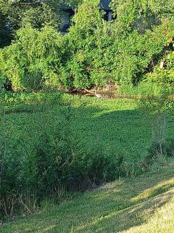 Williamson Farms Park - Image 1