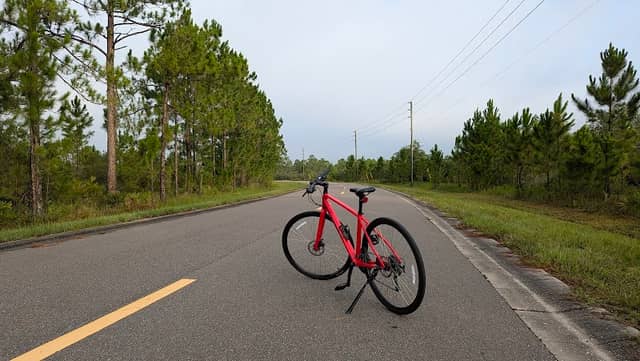 Lake Wales Ridge Wildlife and Environmental Area - Sun N Lake - Image 2