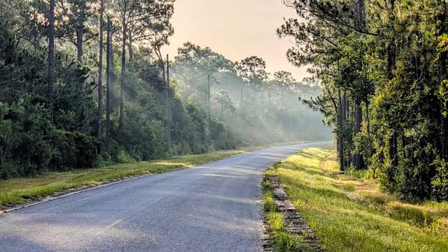 Lake Wales Ridge Wildlife and Environmental Area - Sun N Lake - Image 1