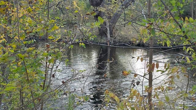Jackson's Landing Park - Image 2