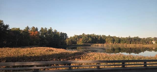Stevens Pond Park Tom Padden Field - Image 1