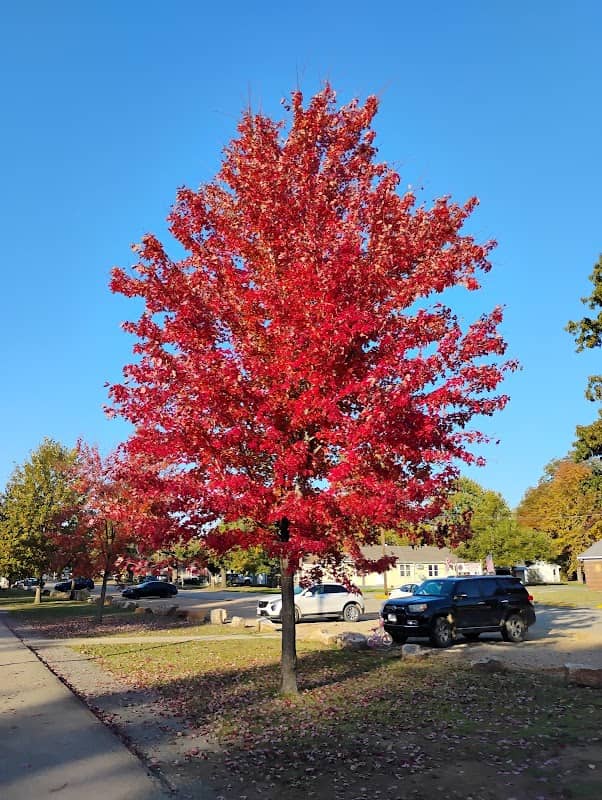 West Park - Image 1