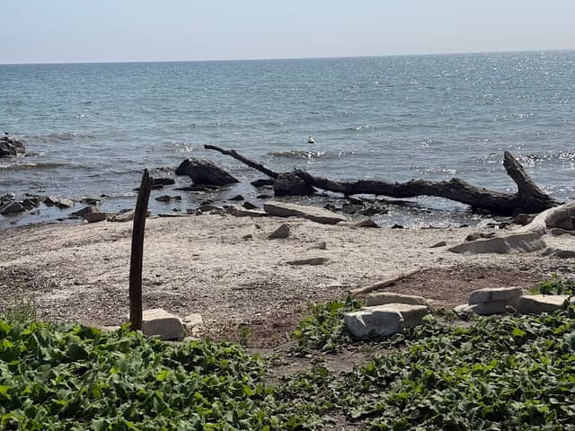 Saint John's Park - Image 2