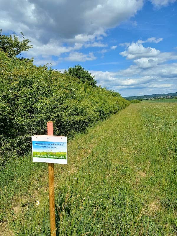 Teufelsee und Pfaffensee zwisA1 - Image 1