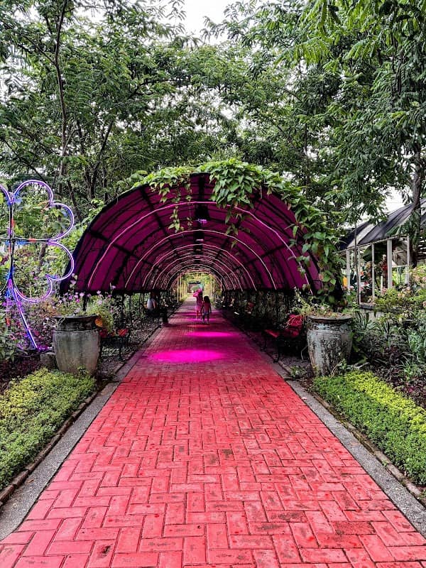 The Garden - Ciudad de Victoria - Image 2