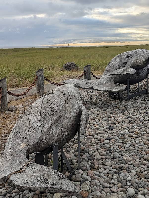 Seashore Conservation Area State Park - Image 2