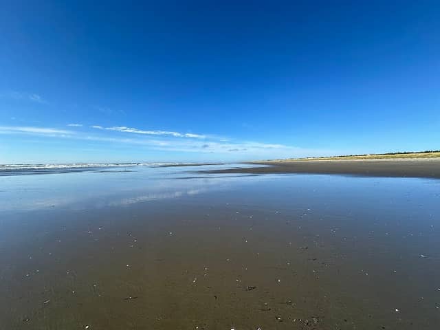 Seashore Conservation Area State Park - Image 3