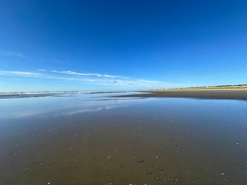 Seashore Conservation Area State Park - Image 3