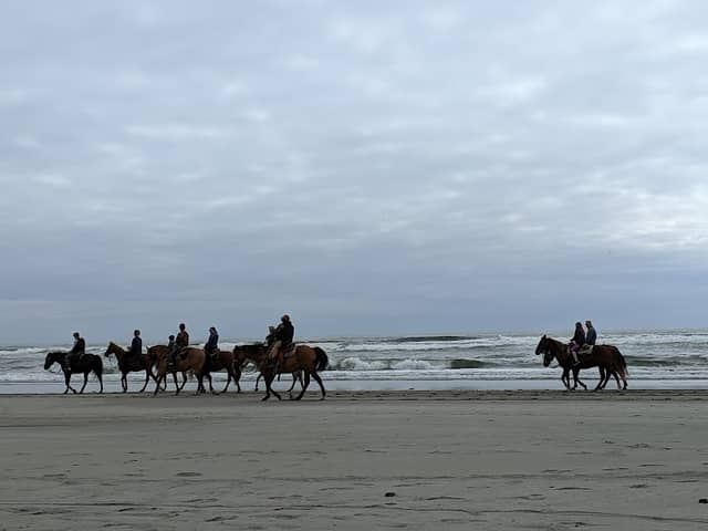 Seashore Conservation Area State Park - Image 1