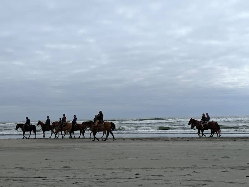Seashore Conservation Area State Park - Image 1