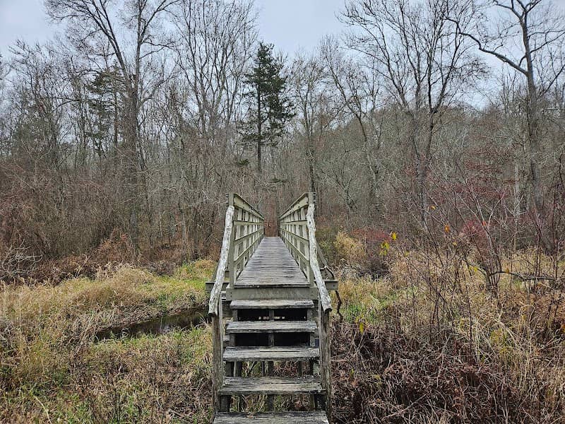 Pawcatuck River - Image 1