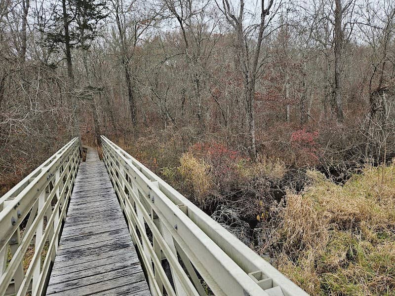 Pawcatuck River - Image 2